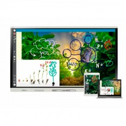 PANTALLA INTERACTIVA SMART BOARD 65 MX265 V4